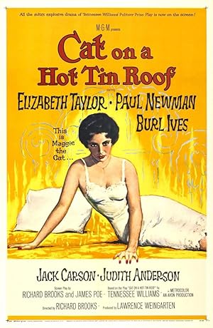 Cat on a Hot Tin Roof poster