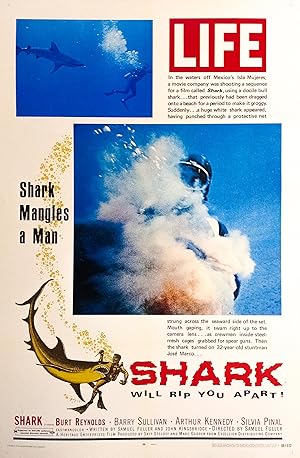 Shark poster