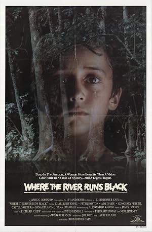 Where the River Runs Black poster