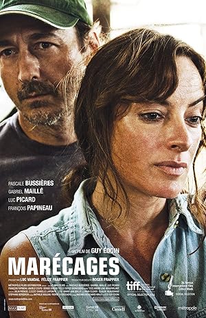 Wetlands poster