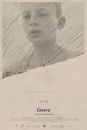 Fauve poster